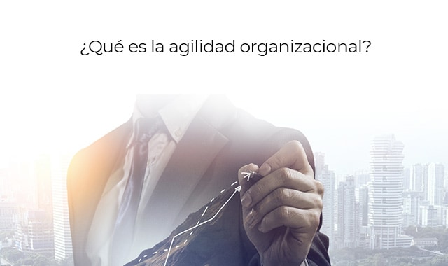 agilidad organizacional para implementar