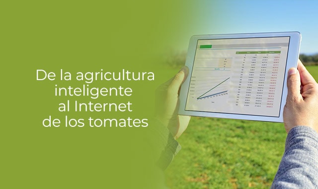 que es el internet de los tomates
