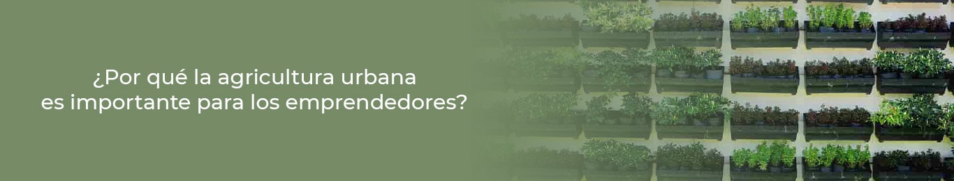la agricultura urbana es importante para los emprendedores