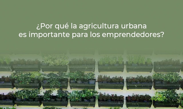 la agricultura urbana es importante para los emprendedores