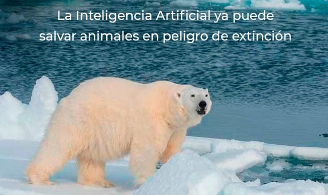 inteligencia artificial puede salvar especies en peligro de extincion 
