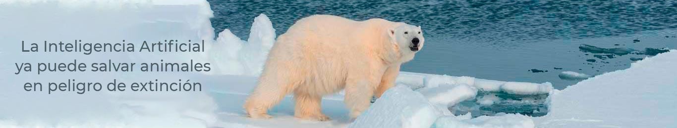 inteligencia artificial puede salvar especies en peligro de extincion 