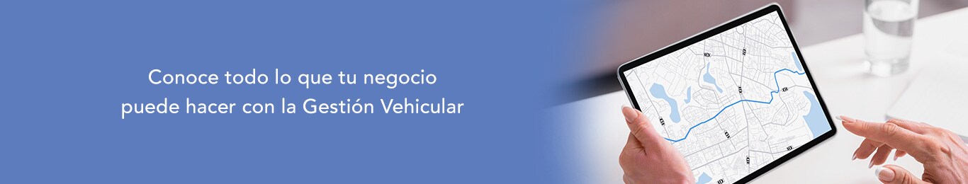 descubre todo lo que tu negocio puede hacer con gestion vehicular