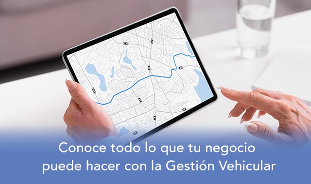 descubre todo lo que tu negocio puede hacer con gestion vehicular