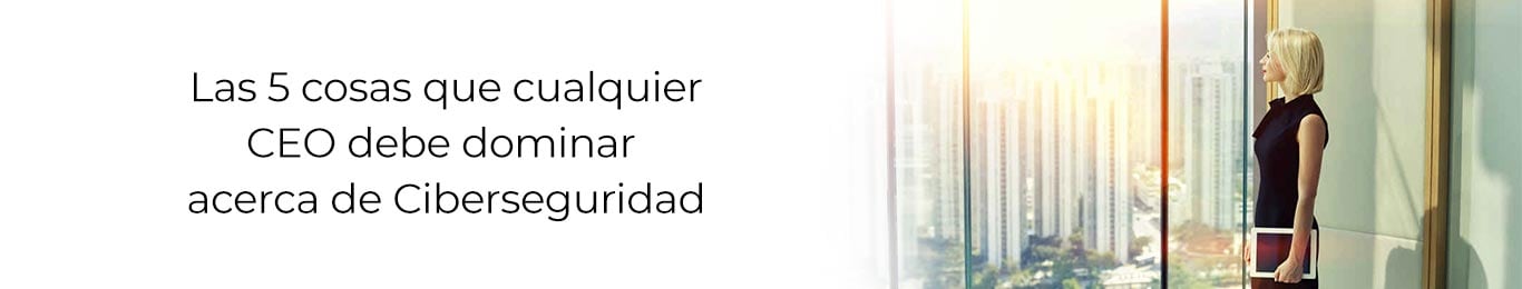 es findamental que un ceo domine el tema de ciberseguridad