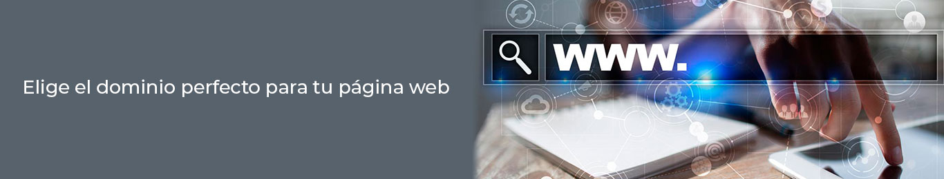 escoge el dominio de la página web de tu empresa