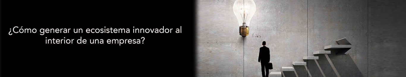 averigua como generar un ecosistema innovador al interior de una empresa