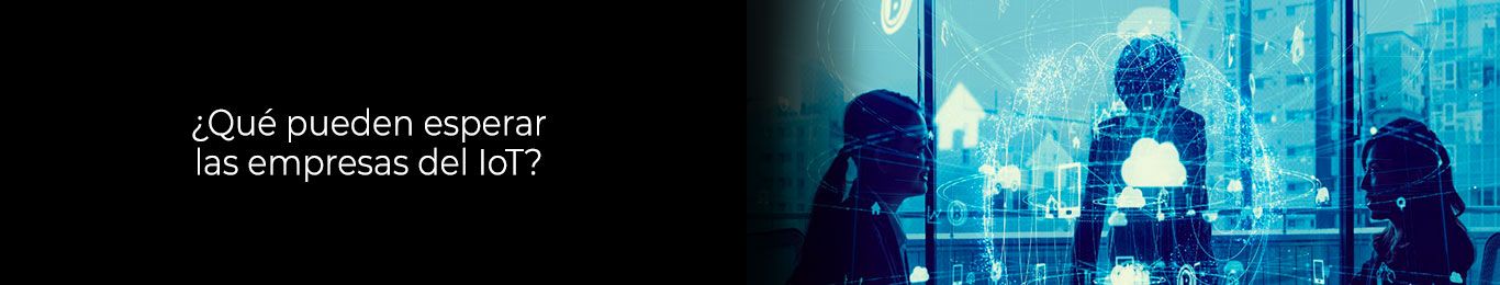te informamos que esperar del iot