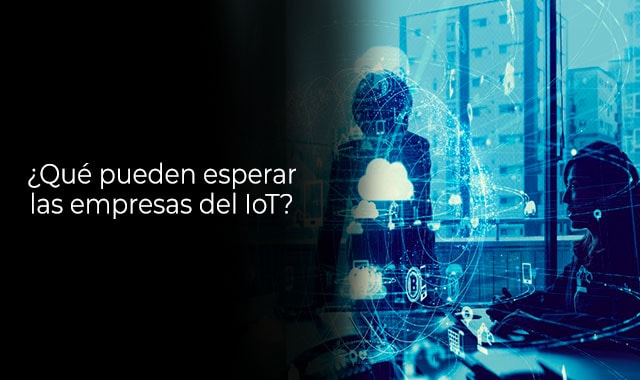te informamos que esperar del iot