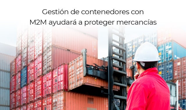 protege tus mercancias con la gestion de contenedores