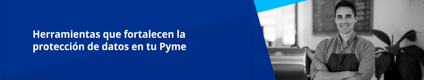 toda pyme merece un sistema que proteja los datos que contiene y para esto es necesario tomar en cuenta que en la actualidad existen una serie de herramientas por las que se podria optar para maximizar la protección de datos  