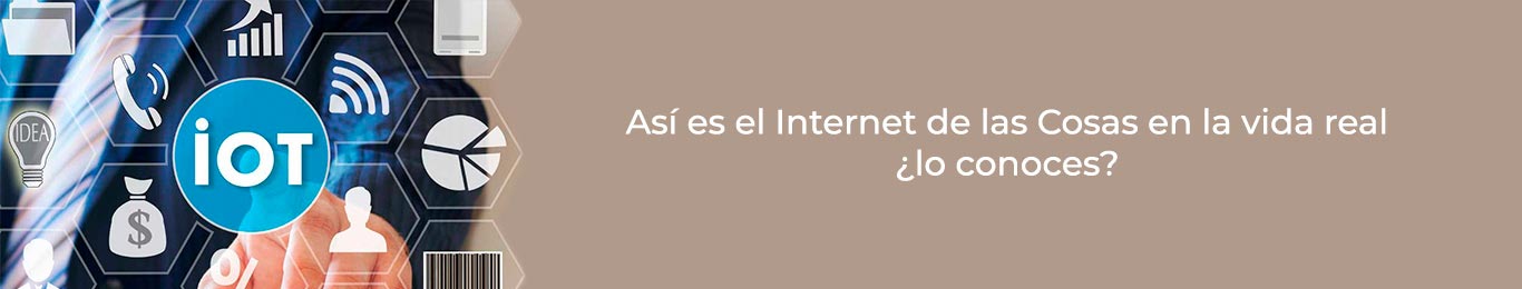 como es el internet de las cosas en la vida real