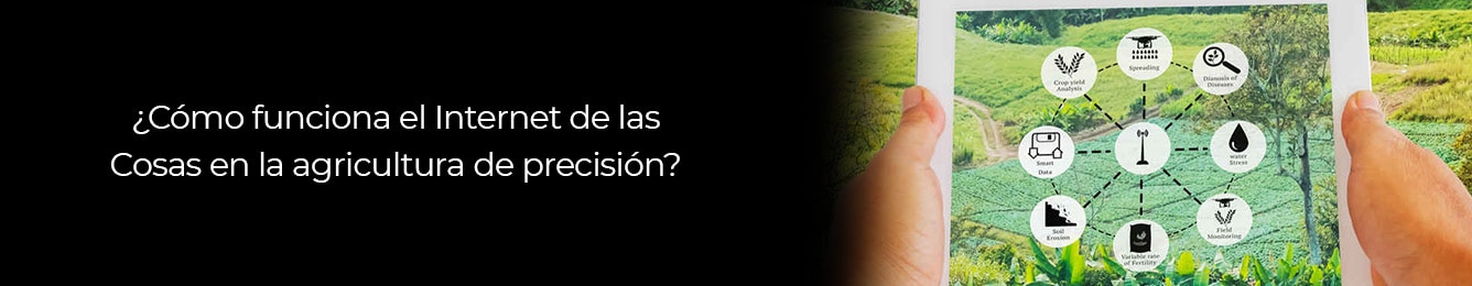 conoce mas sobre como ayuda el iot a la agricultura