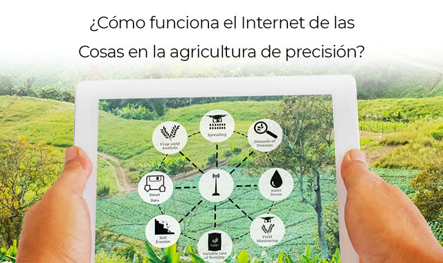 conoce mas sobre como ayuda el iot a la agricultura