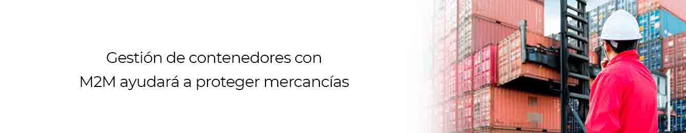 protege tus mercancias con la gestion de contenedores