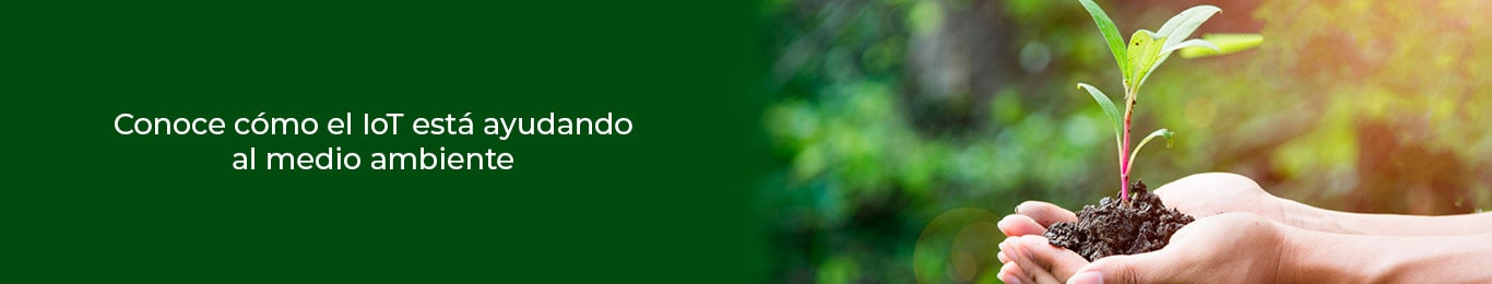asi es como el medio ambiente se beneficia con el IoT