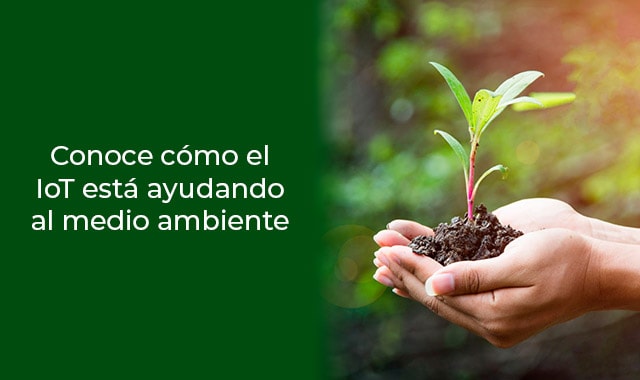 asi es como el medio ambiente se beneficia con el IoT