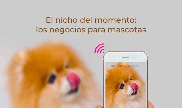 te invitamos a que pongas un negocio para mascotas