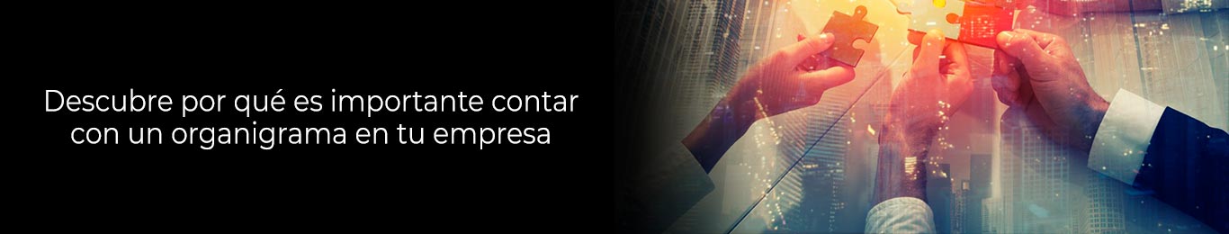 por que es importante contar con un organigrama en tu empresa