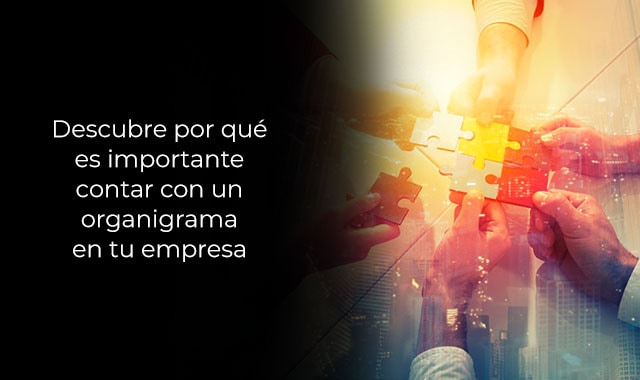 por que es importante contar con un organigrama en tu empresa