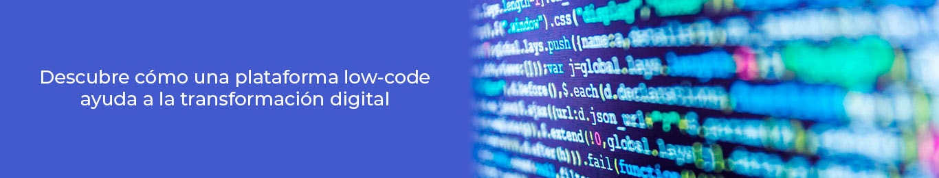 usa una plataforma low code para tu empresa