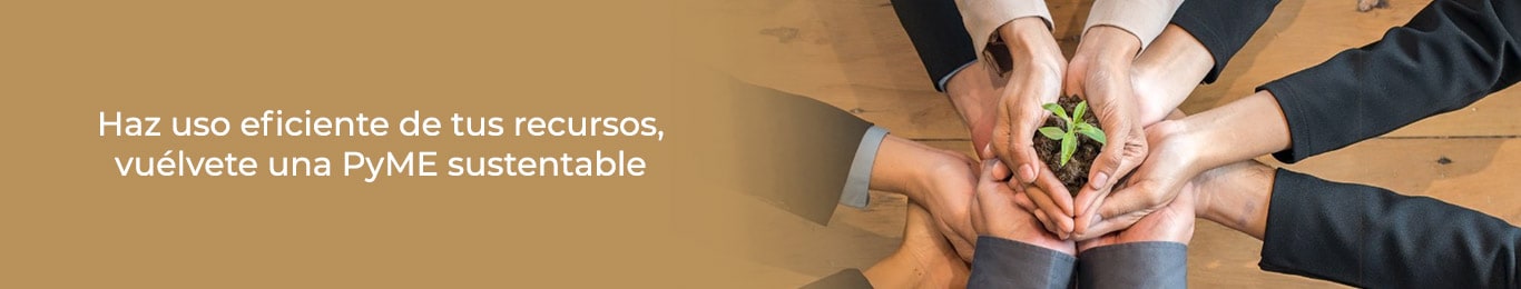 tus recursos eficientes en una pyme sustentable