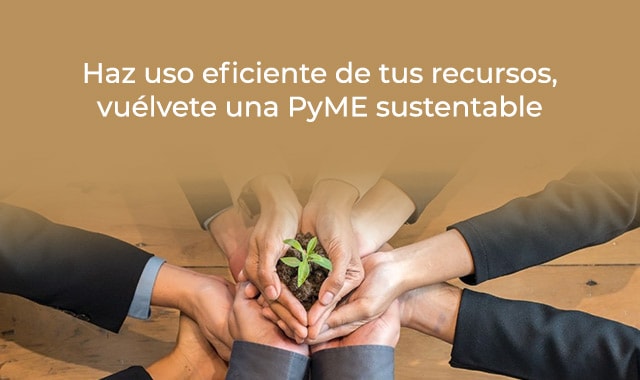 tus recursos eficientes en una pyme sustentable