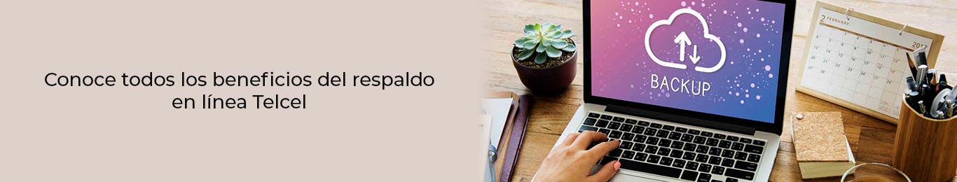 respaldo en linea