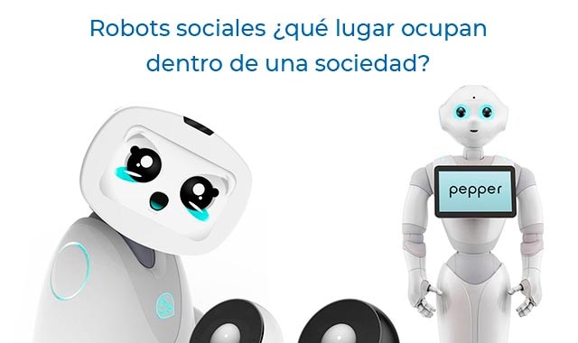 cual es su papel en la sociedad