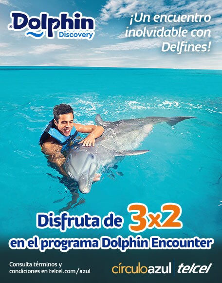 interactua con delfines en un ambiente tranquilo y seguro en compañia de tu familia
