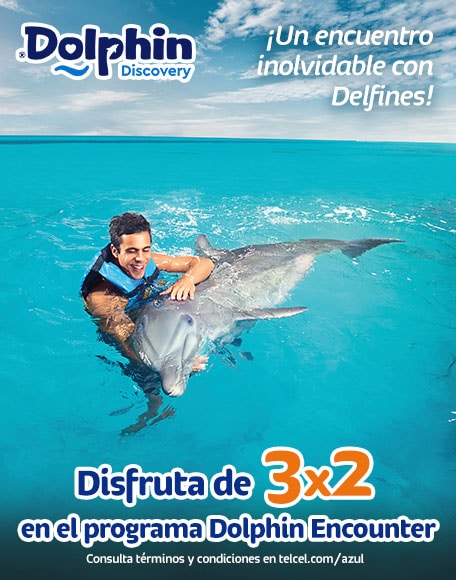 interactua con delfines en un ambiente tranquilo y seguro en compañia de tu familia